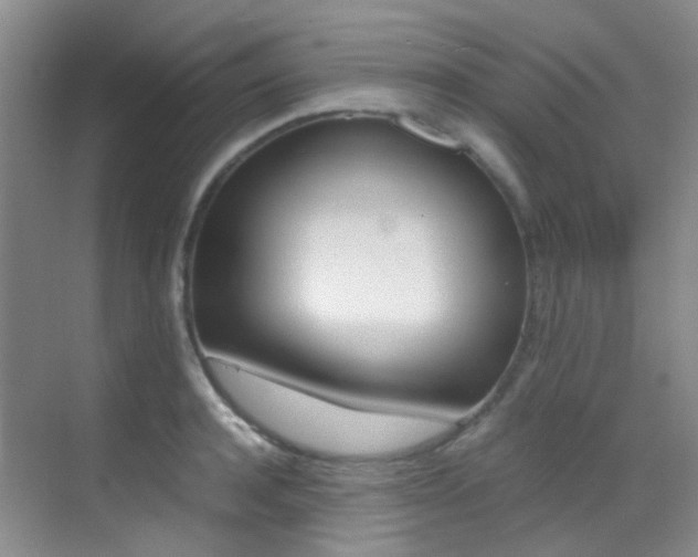 X0000070250944200606020955