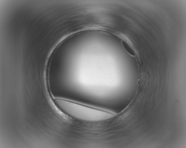 X0000070250947200606020955