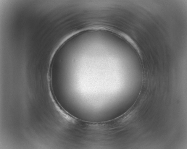 X0000070250951200606020955