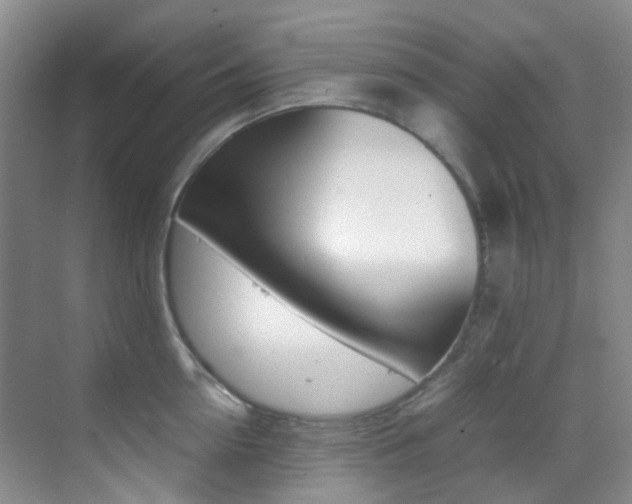 X0000070250954200606020955