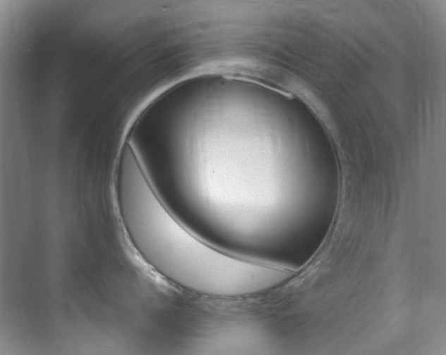 X0000070250960200606020955