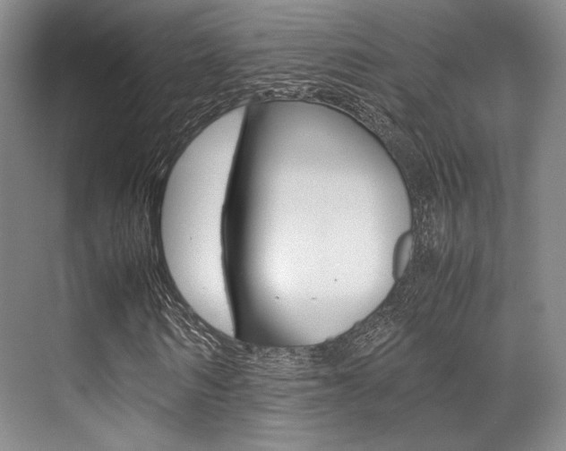 X0000070250962200606020954
