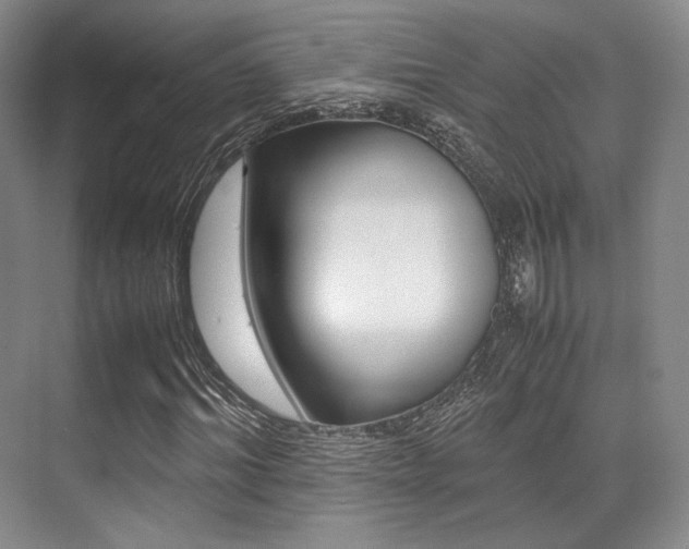 X0000070250964200606020954