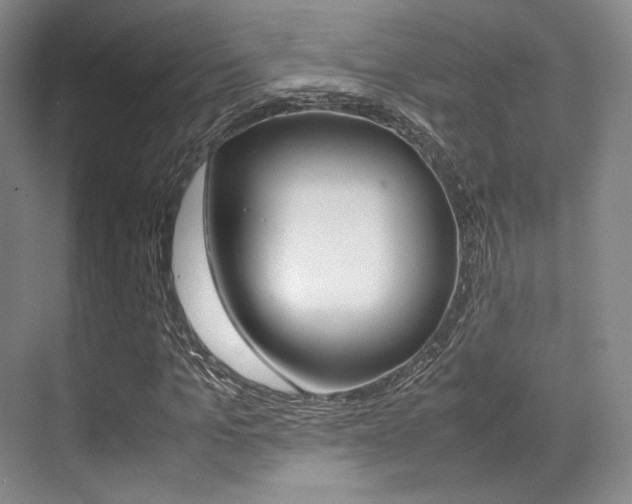 X0000070250965200606020954