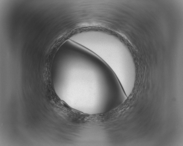 X0000070250967200606020954