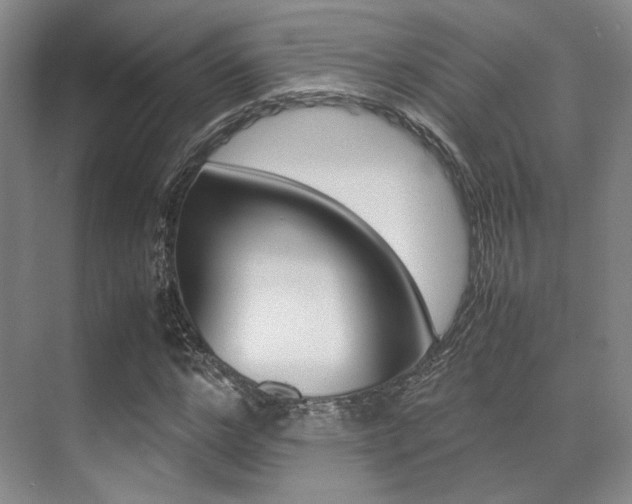 X0000070250968200606020954