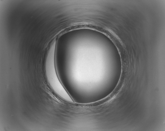 X0000070250969200606020954