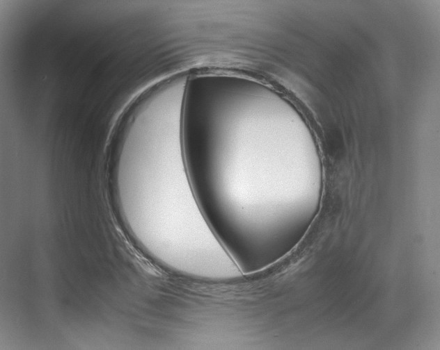 X0000070250971200606020954