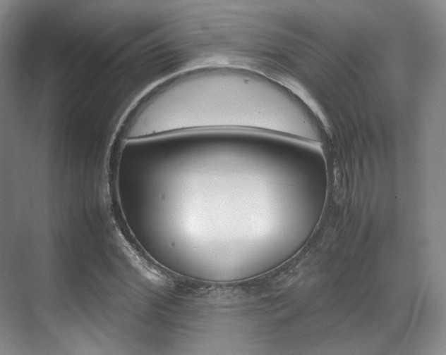 X0000070250972200606020954