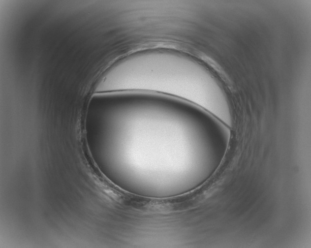 X0000070250977200606020954