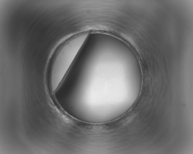 X0000070250979200606020954