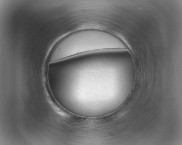 X0000070250987200606020954
