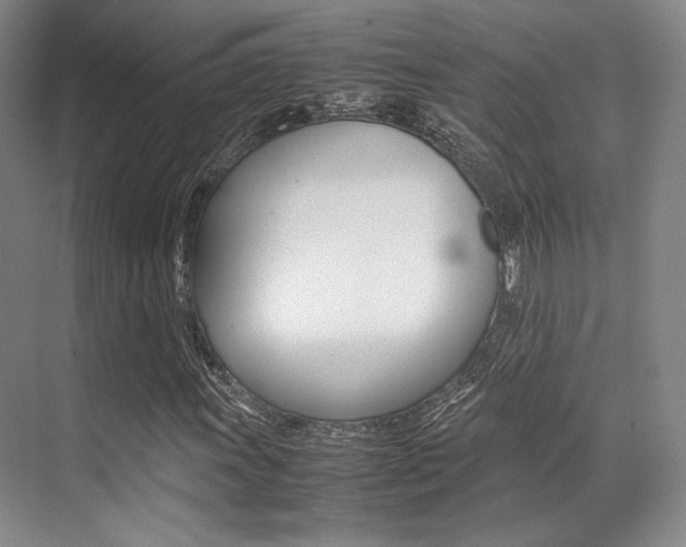 X0000070251011200606020953