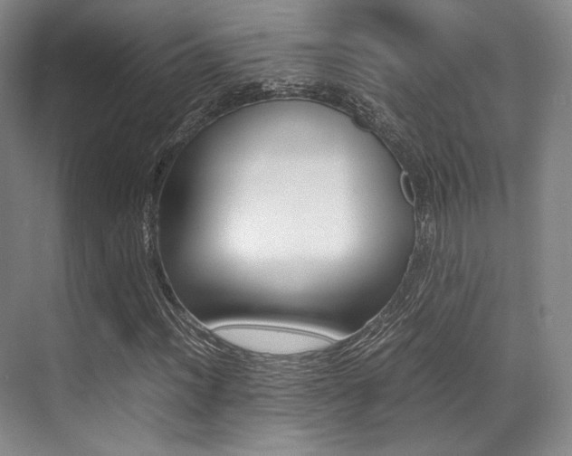 X0000070251012200606020953