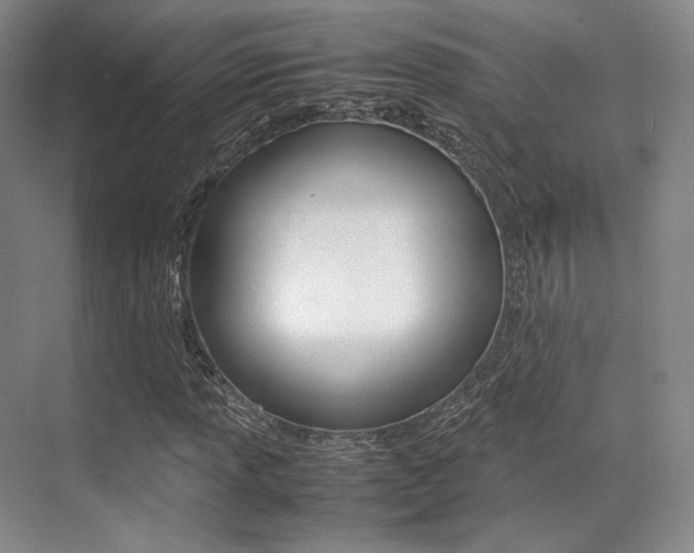 X0000070251013200606020953