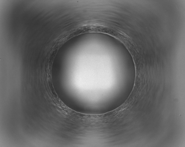 X0000070251014200606020953