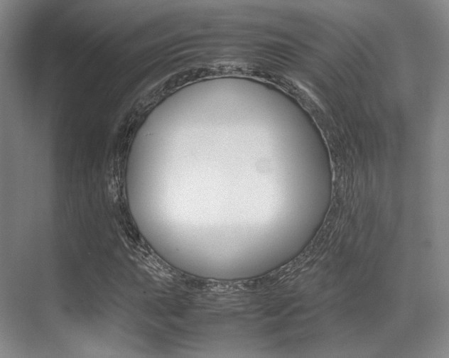X0000070251015200606020953