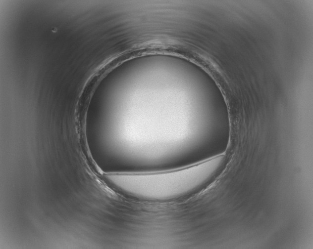 X0000070251018200606020953