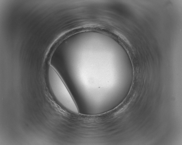 X0000070251021200606020953