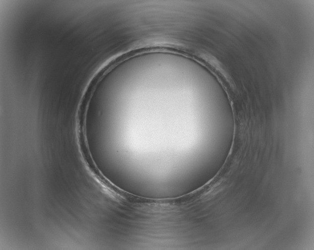 X0000070251024200606020953
