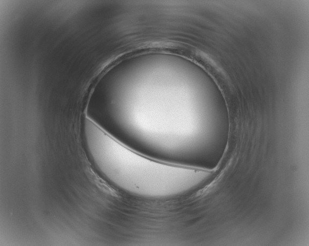 X0000070251025200606020953