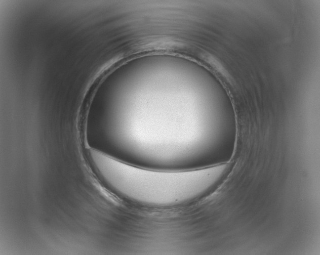 X0000070251026200606020953