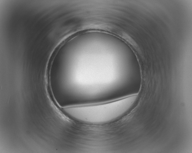 X0000070251028200606020953