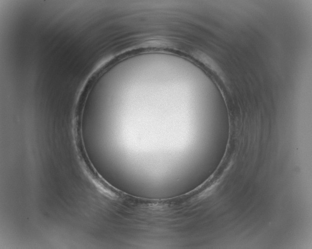 X0000070251029200606020953