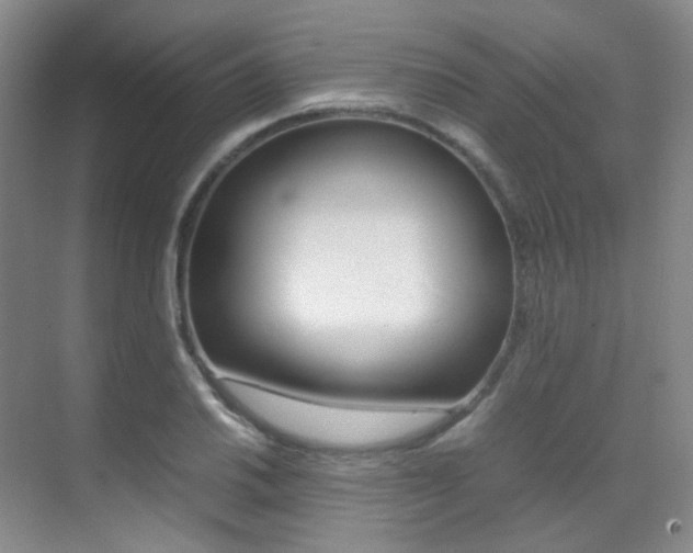 X0000070251030200606020953