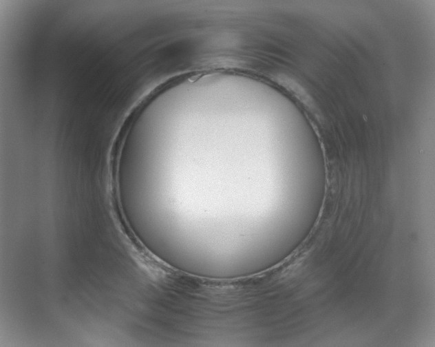 X0000070251031200606020953