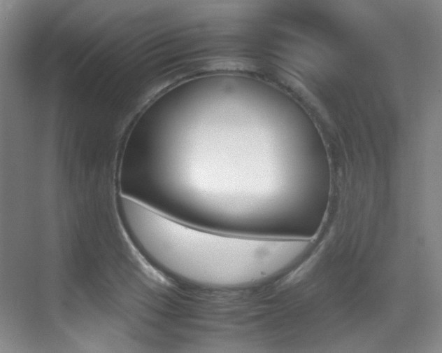 X0000070251033200606020953