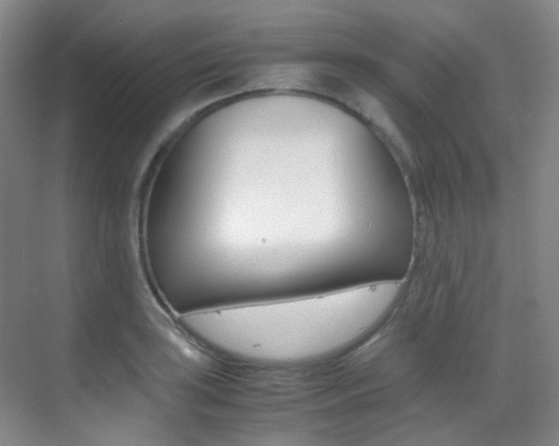 X0000070251035200606020953