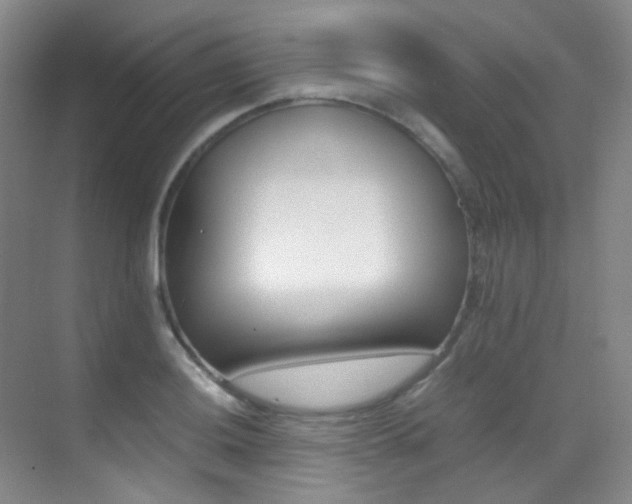 X0000070251036200606020953