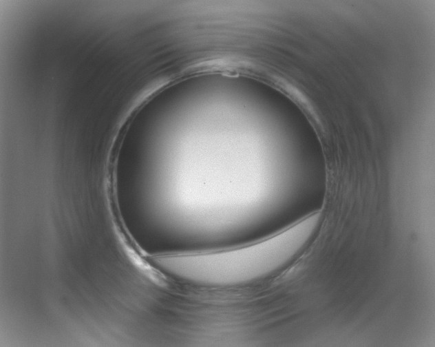 X0000070251042200606020953