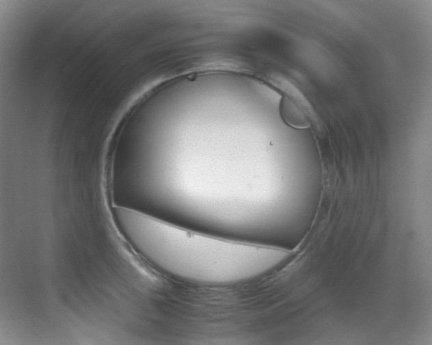 X0000070251043200606020953