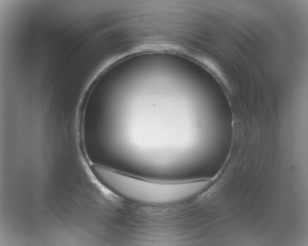 X0000070251046200606020953