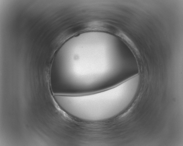 X0000070251049200606020953