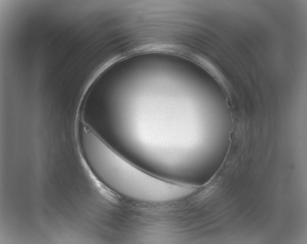 X0000070251050200606020953