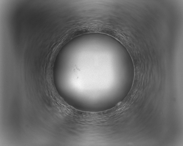X0000070251057200606020953