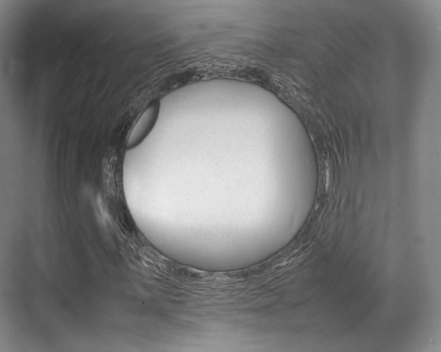 X0000070251059200606020953