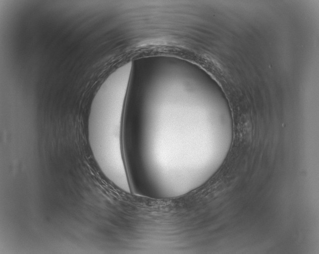 X0000070251062200606020953