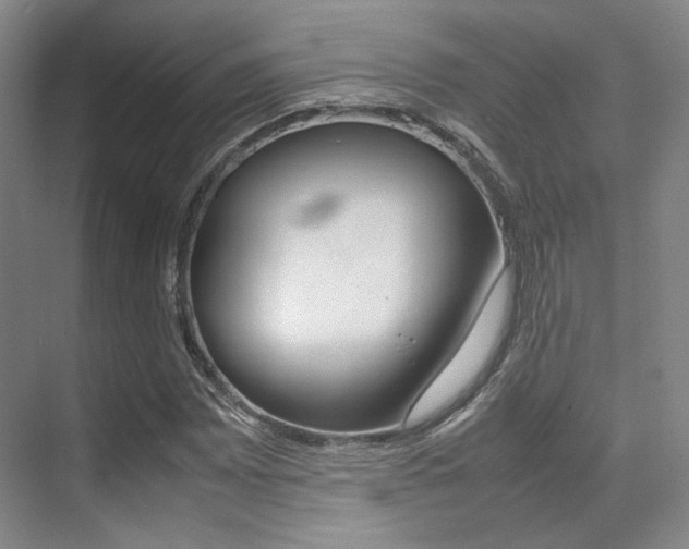 X0000070251065200606020953