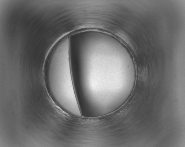 X0000070251068200606020953