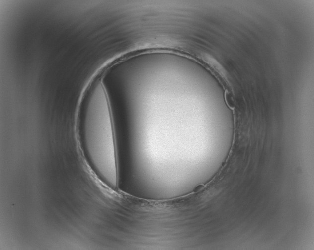 X0000070251072200606020952