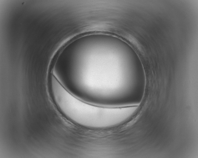 X0000070251077200606020952