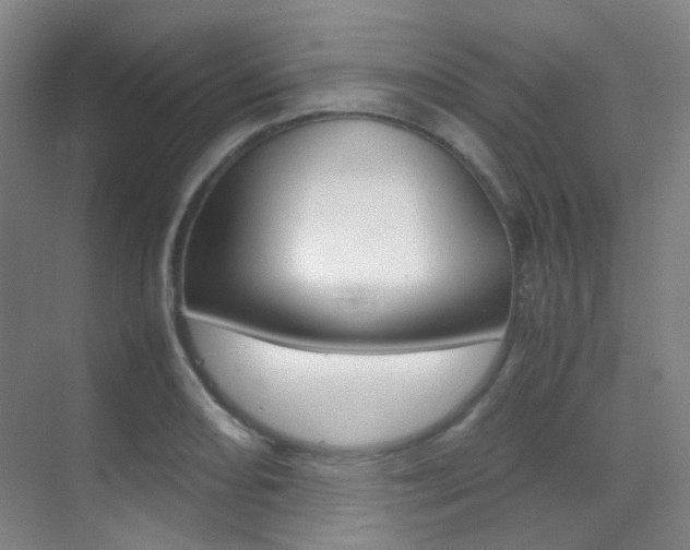 X0000070251082200606020952