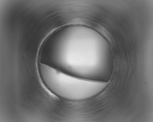 X0000070251084200606020952