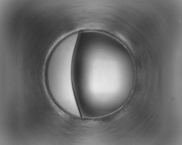 X0000070251085200606020952