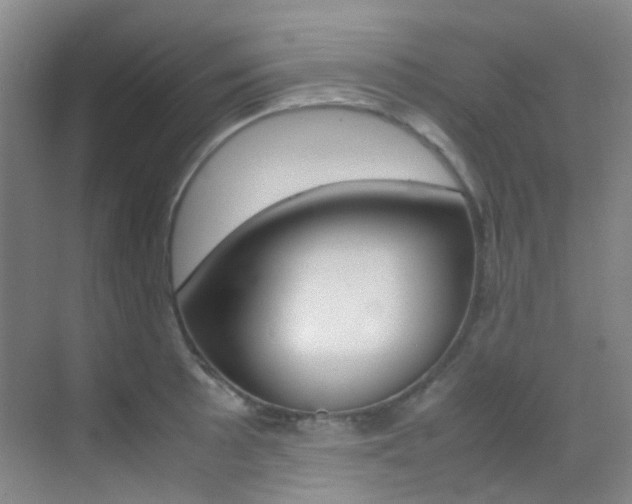 X0000070251089200606020952
