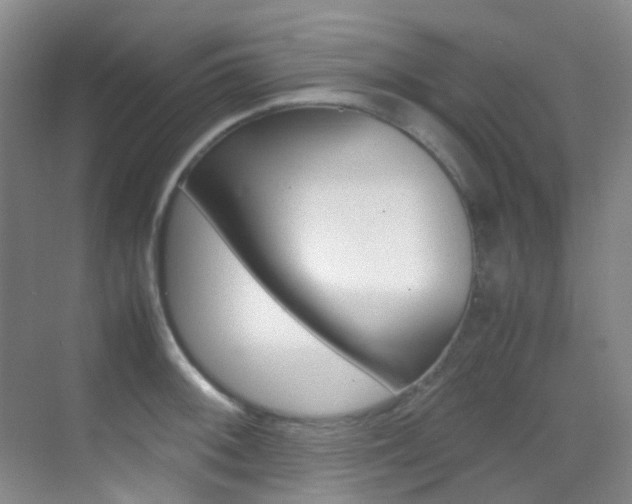 X0000070251092200606020952